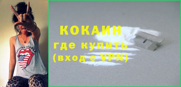 дживик Навашино