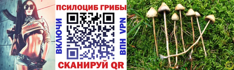 Галлюциногенные грибы ЛСД  Новотитаровская 